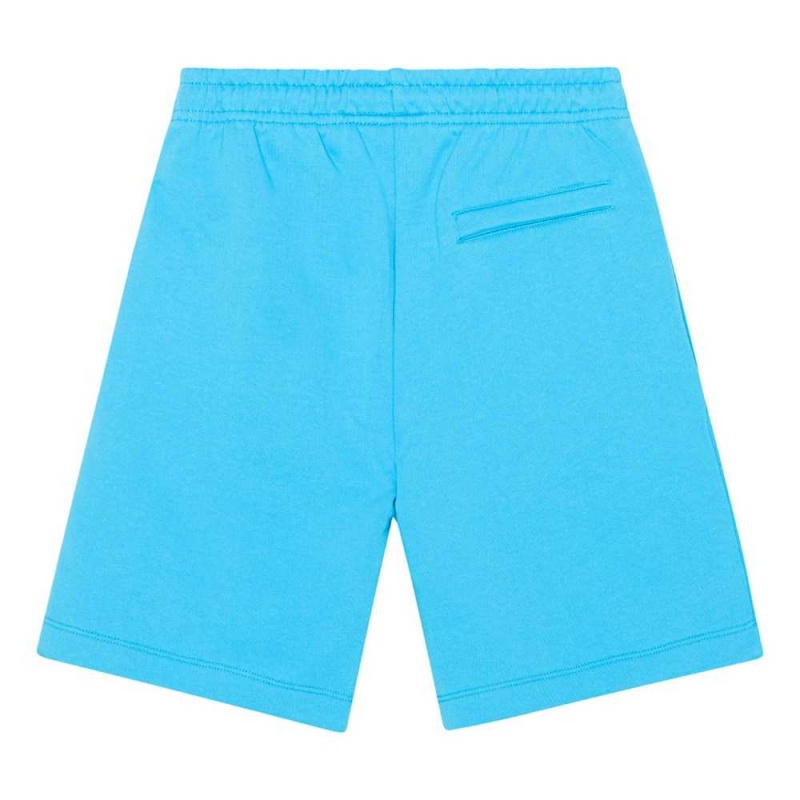 Shorts Chłopięce Molo Adrian Turquoise Blue | PL0000731