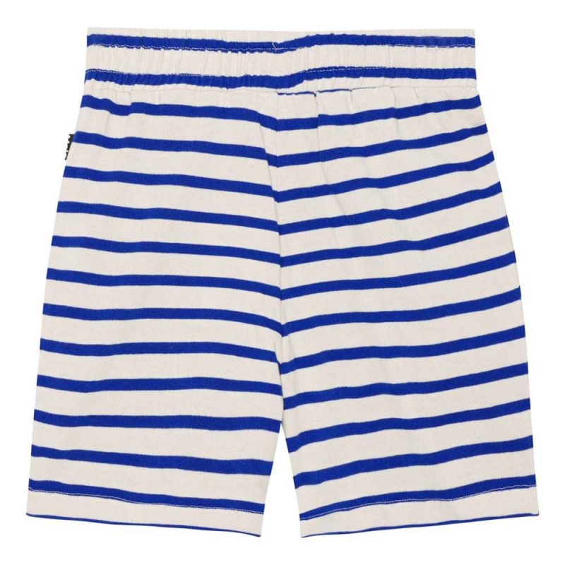 Shorts Chłopięce Molo Aelius Reef Stripe | PL0000705