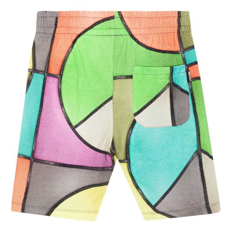 Shorts Chłopięce Molo Alim Basket Colour | PL0000694