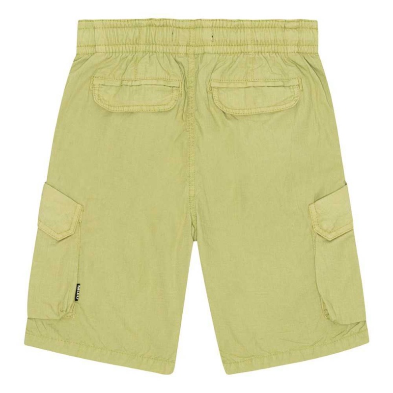 Shorts Chłopięce Molo Argod Sage | PL0000724