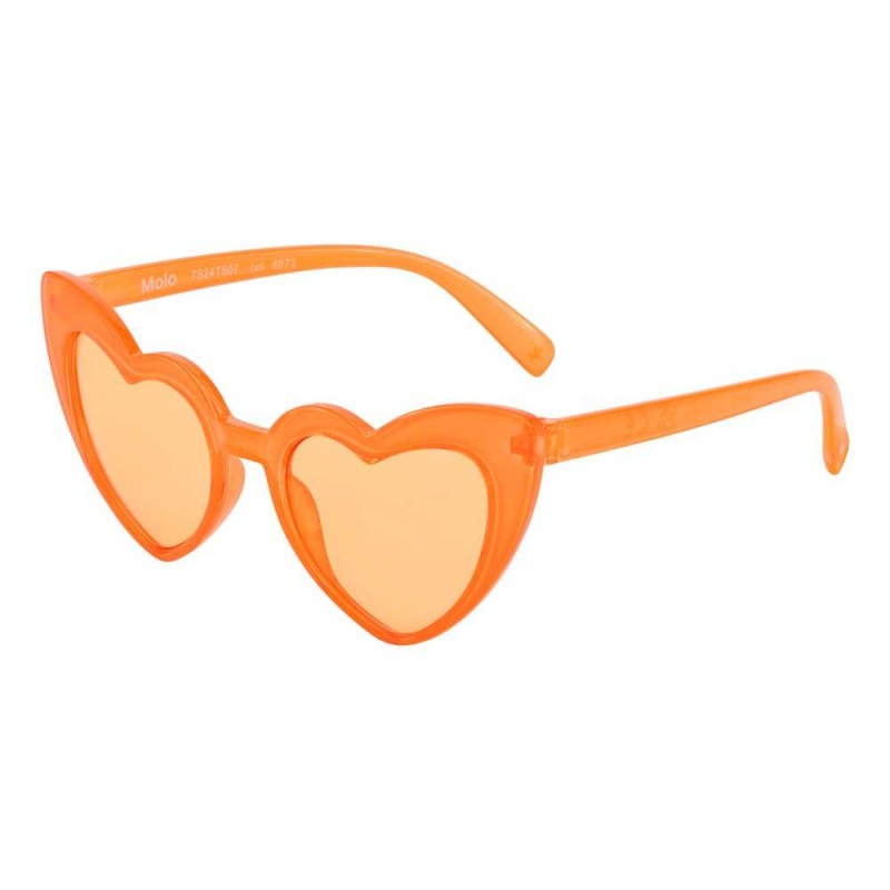 Sunglasses Molo Sana Sunrise | PL0001014