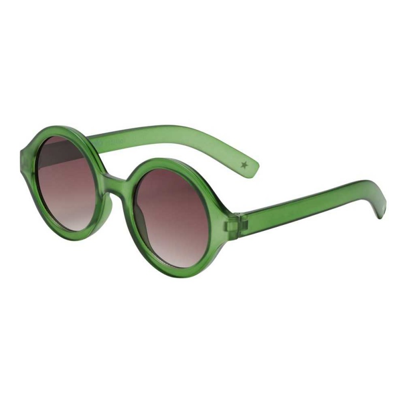 Sunglasses Molo Shelby Green Bee | PL0000993