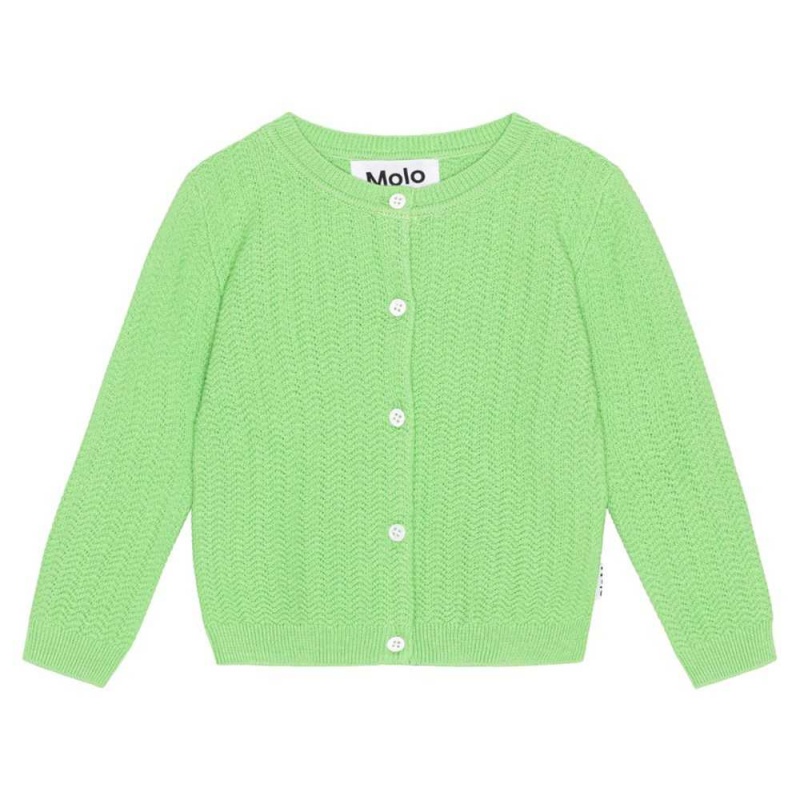 Sweatshirts Cardigans Chłopięce Molo Blake Grass Green | PL0001319