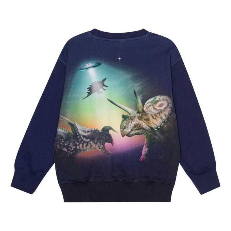 Sweatshirts Cardigans Chłopięce Molo Mattis Beam Up Dinos | PL0000755