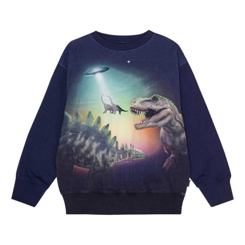 Sweatshirts Cardigans Chłopięce Molo Mattis Beam Up Dinos | PL0000755