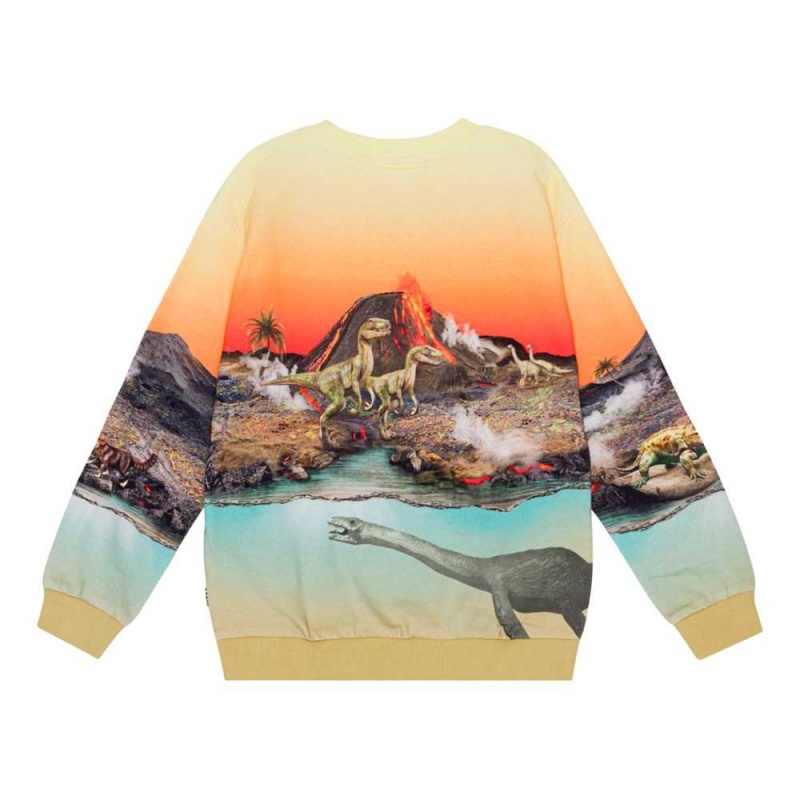 Sweatshirts Cardigans Chłopięce Molo Miksi Volcano Dinos | PL0000743