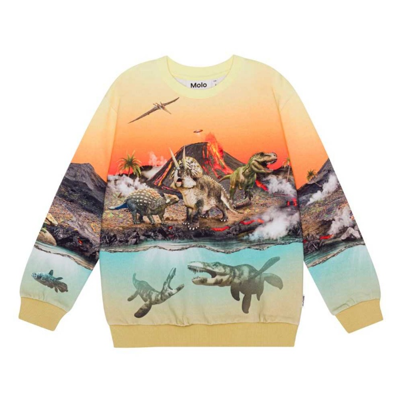 Sweatshirts Cardigans Chłopięce Molo Miksi Volcano Dinos | PL0000743