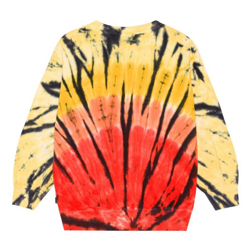 Sweatshirts Cardigans Chłopięce Molo Monti Fire Dye | PL0000766