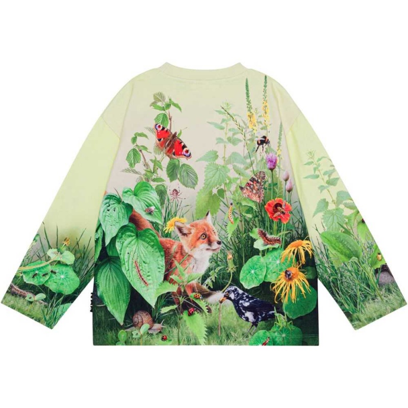 Sweatshirts Cardigans Chłopięce Molo Mountoo Wild Garden | PL0000754