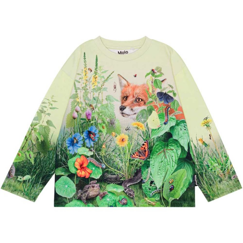 Sweatshirts Cardigans Chłopięce Molo Mountoo Wild Garden | PL0000754