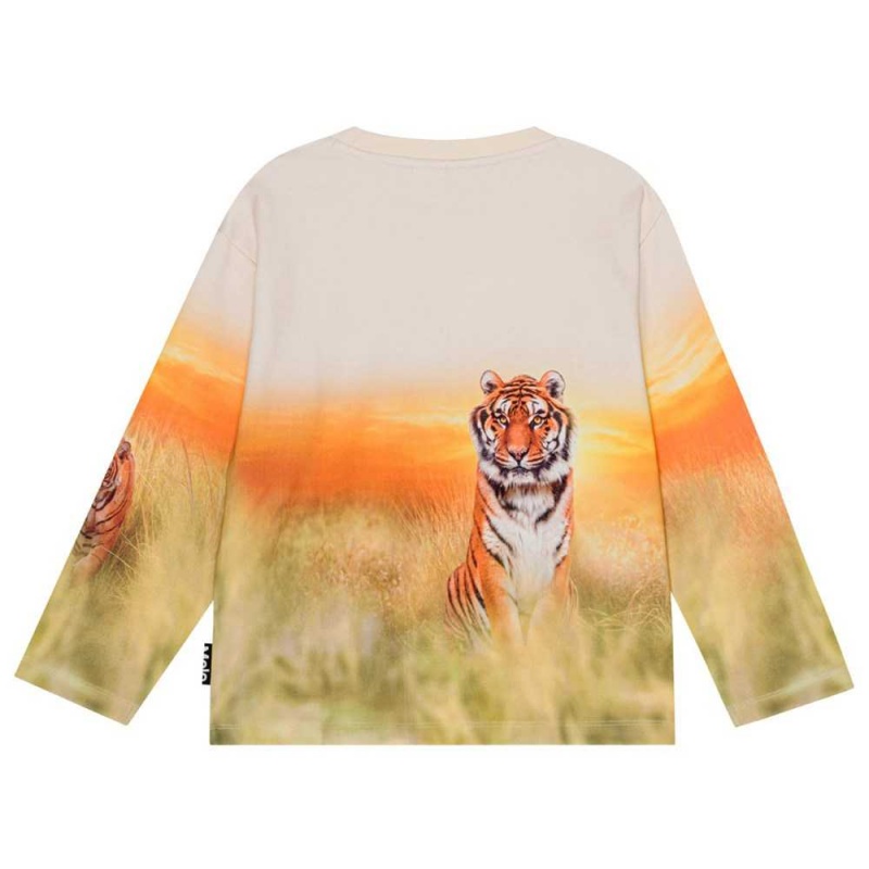 Sweatshirts Cardigans Chłopięce Molo Mountoo Sunrise Tiger | PL0000767