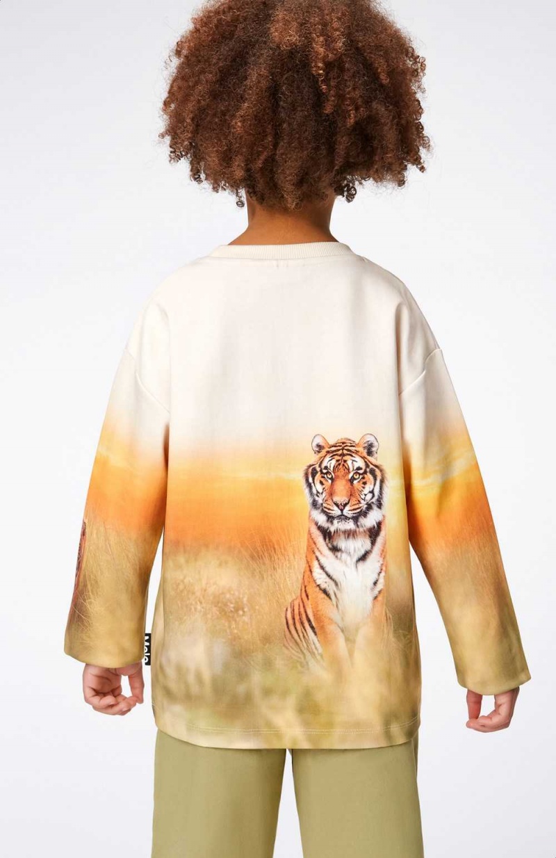 Sweatshirts Cardigans Chłopięce Molo Mountoo Sunrise Tiger | PL0000767