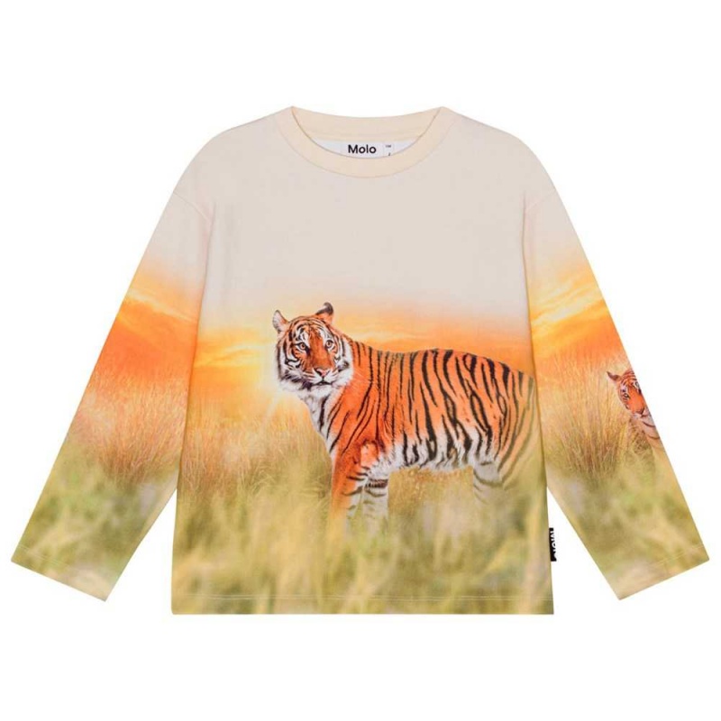 Sweatshirts Cardigans Chłopięce Molo Mountoo Sunrise Tiger | PL0000767