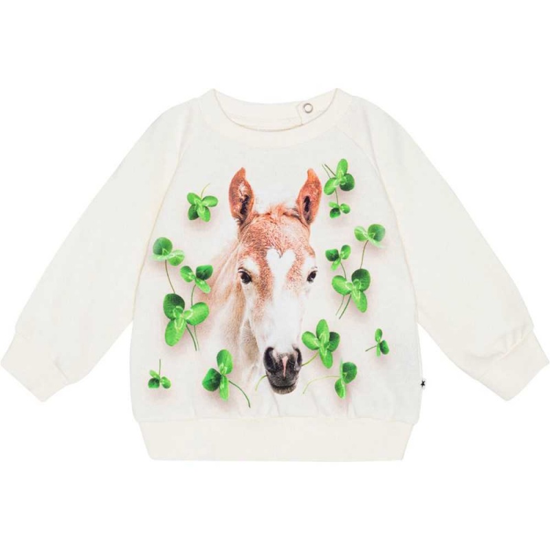 Sweatshirts Cardigans Dziewczynka Molo Disc Clover Foal | PL0001406