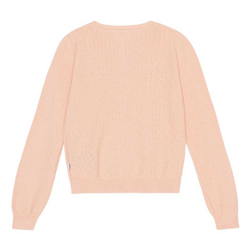 Sweatshirts Cardigans Dziewczynka Molo Gala Fluffy Rose | PL0000309