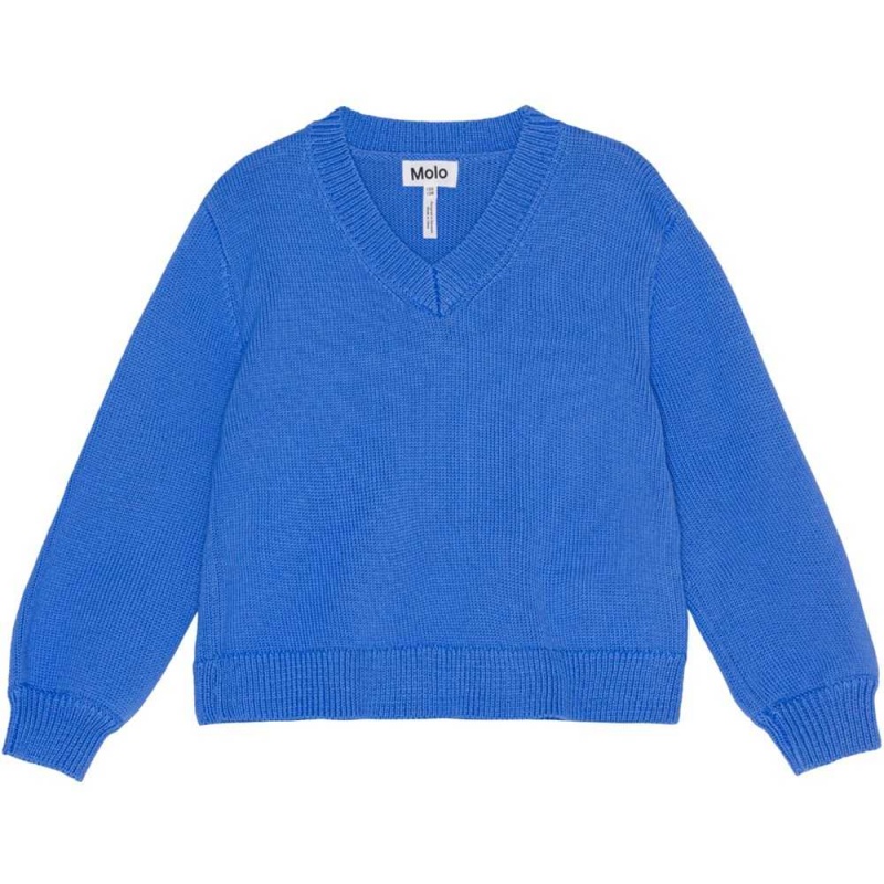 Sweatshirts Cardigans Dziewczynka Molo Germaine Forget Me Not | PL0000299