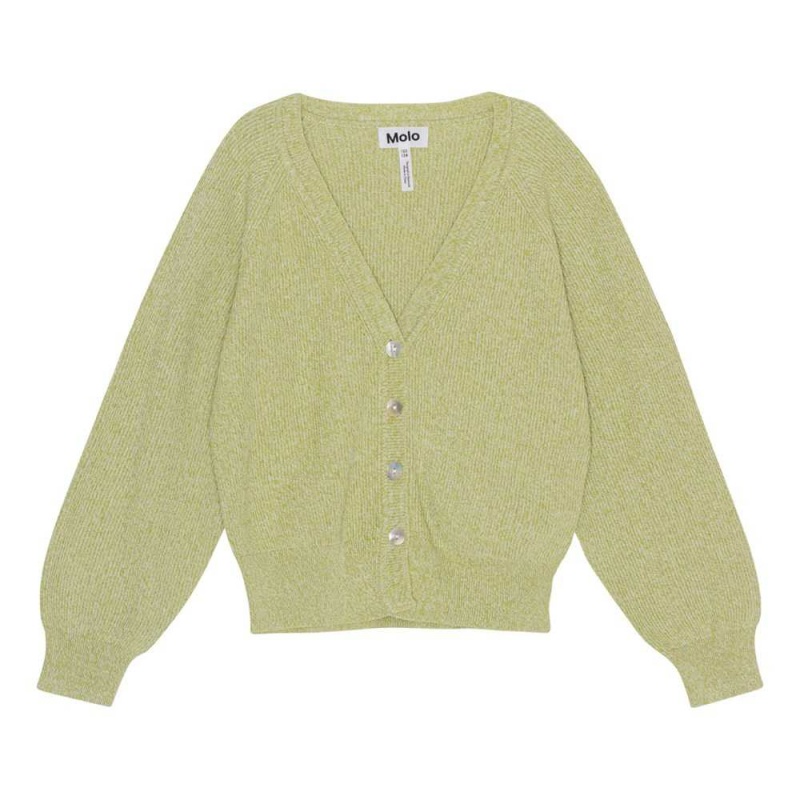 Sweatshirts Cardigans Dziewczynka Molo Gilberta Tea Shell Mix | PL0000302