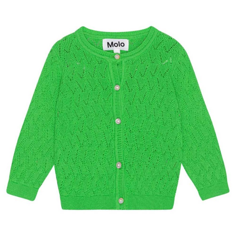 Sweatshirts Cardigans Dziewczynka Molo Gilli Classic Green | PL0001325