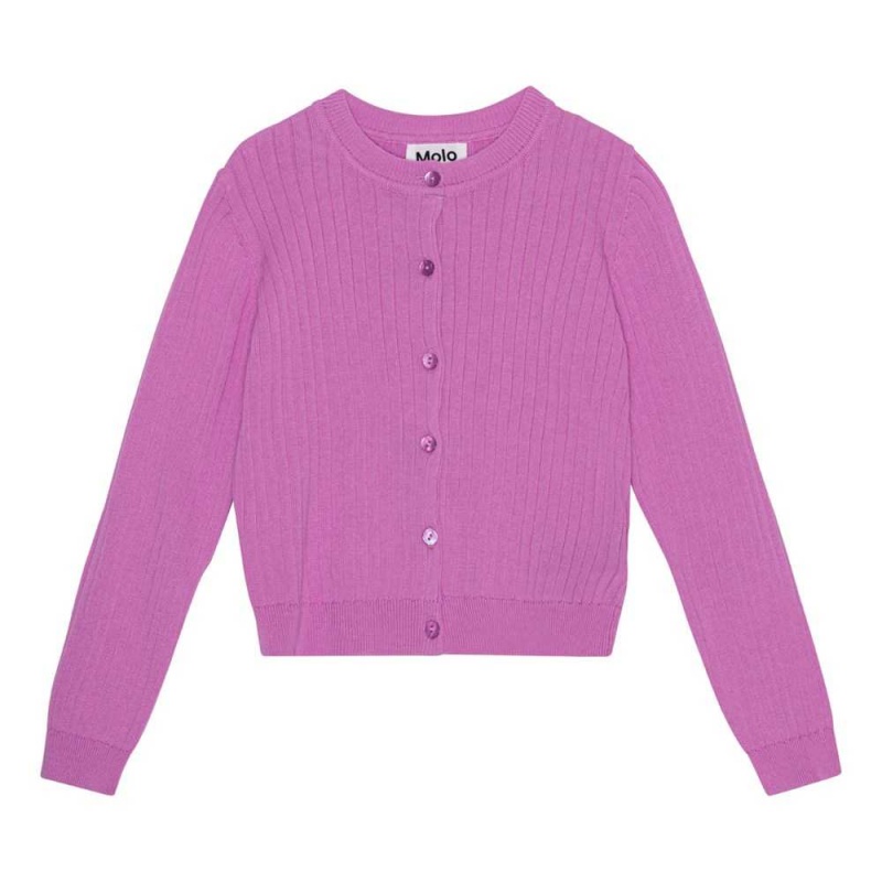 Sweatshirts Cardigans Dziewczynka Molo Gloria Purple Pink | PL0000301