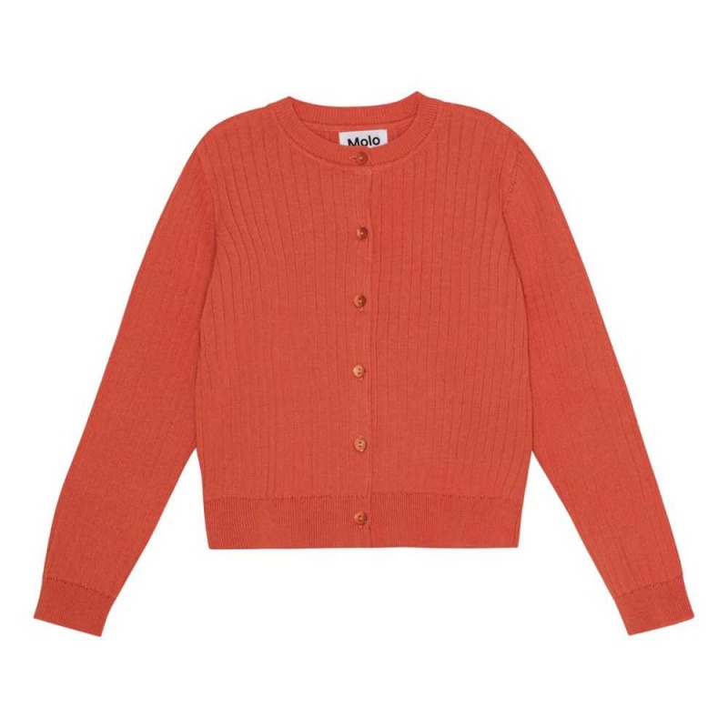 Sweatshirts Cardigans Dziewczynka Molo Gloria Red Clay | PL0000308