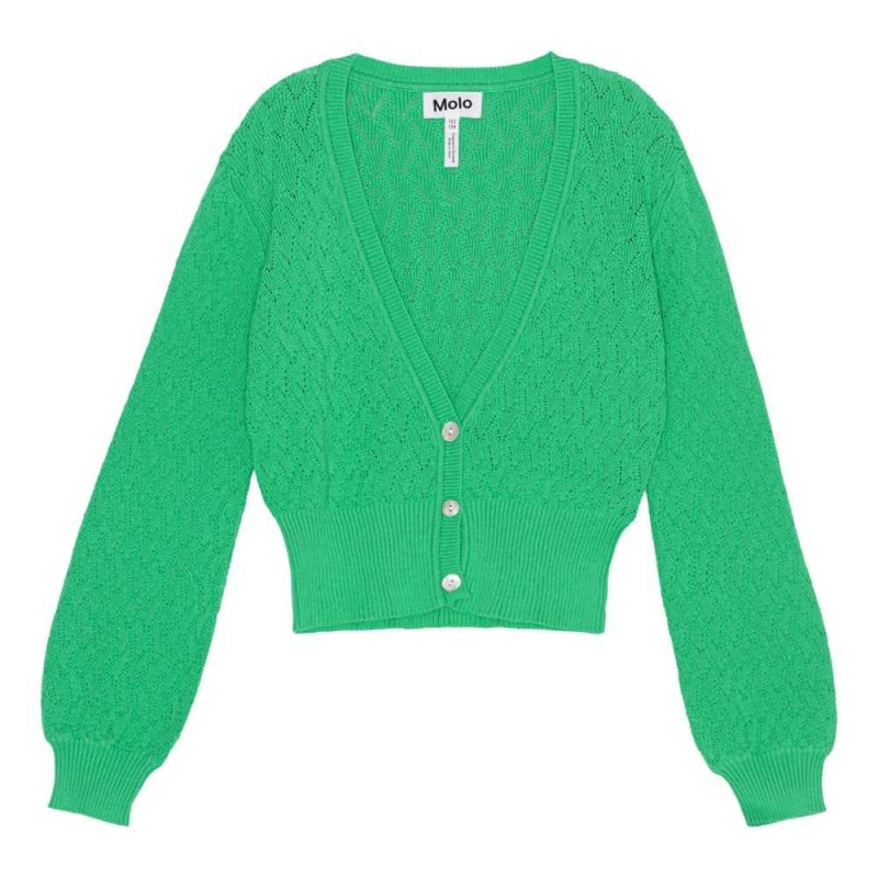 Sweatshirts Cardigans Dziewczynka Molo Glory Chalk Green | PL0000310