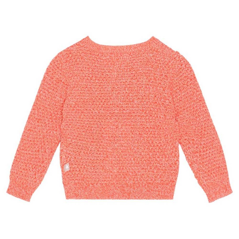 Sweatshirts Cardigans Dziewczynka Molo Goldie Rose Red Mix | PL0001329