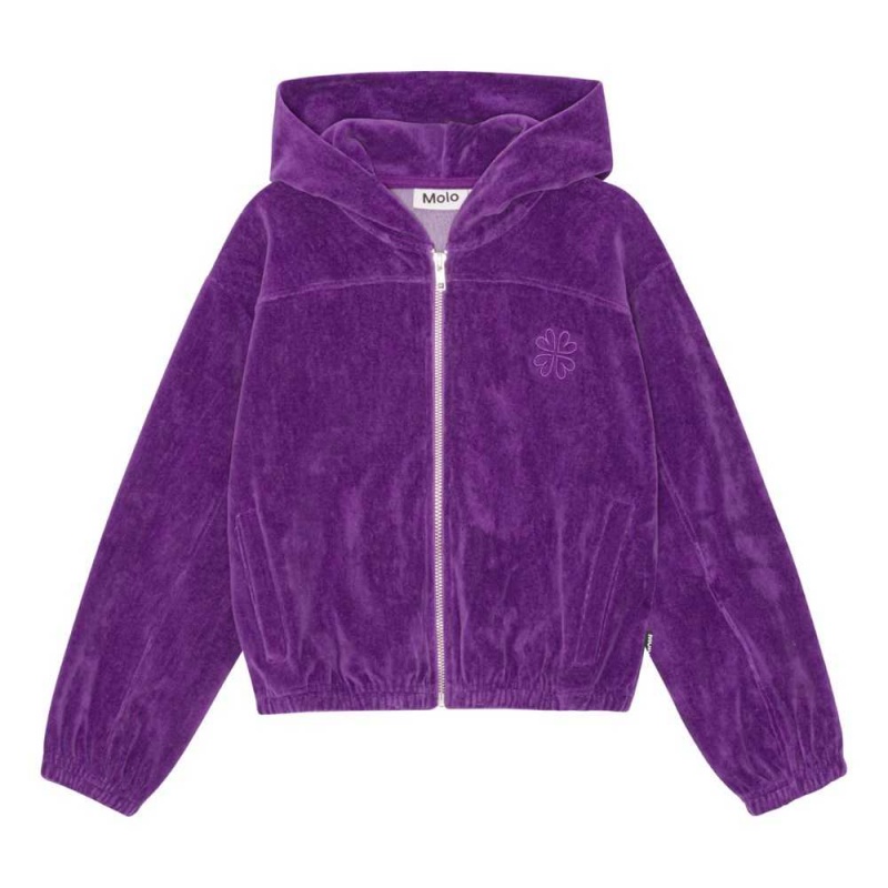 Sweatshirts Cardigans Dziewczynka Molo Madeleine Purple Dusk | PL0000486