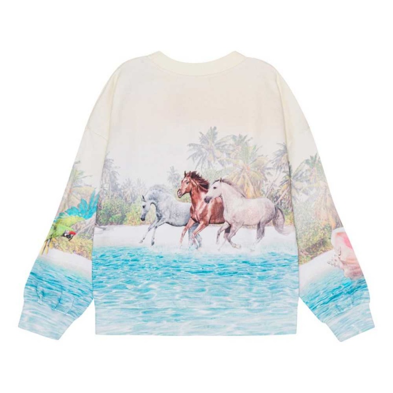 Sweatshirts Cardigans Dziewczynka Molo Maxi Island Horse | PL0000469