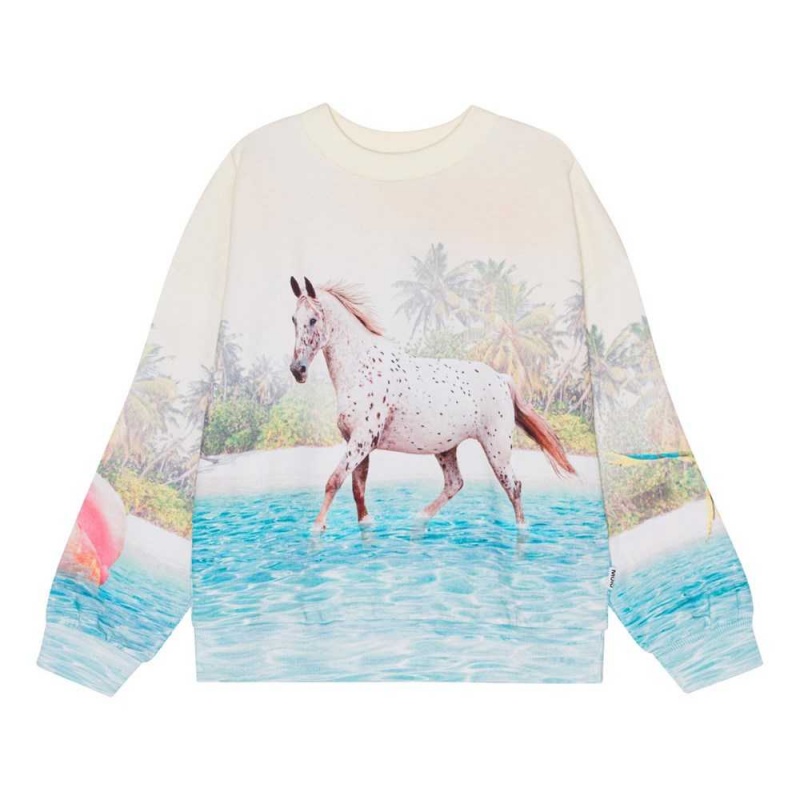 Sweatshirts Cardigans Dziewczynka Molo Maxi Island Horse | PL0000469