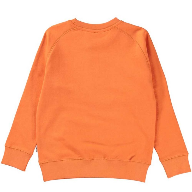 Sweatshirts Cardigans Dziewczynka Molo Mike Ember | PL0000466