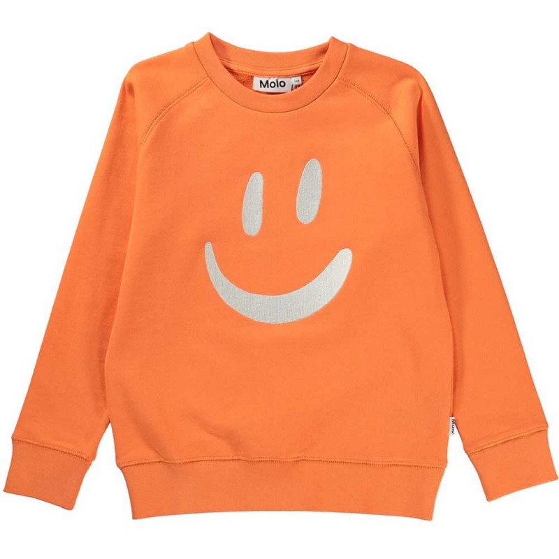 Sweatshirts Cardigans Dziewczynka Molo Mike Ember | PL0000466