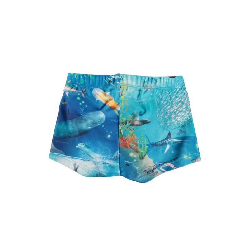 Swimshorts Molo Nansen Ocean Zones | PL0001138