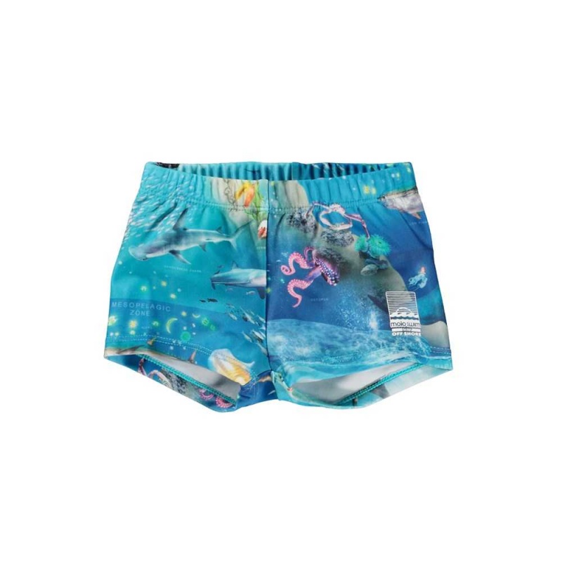 Swimshorts Molo Nansen Ocean Zones | PL0001138