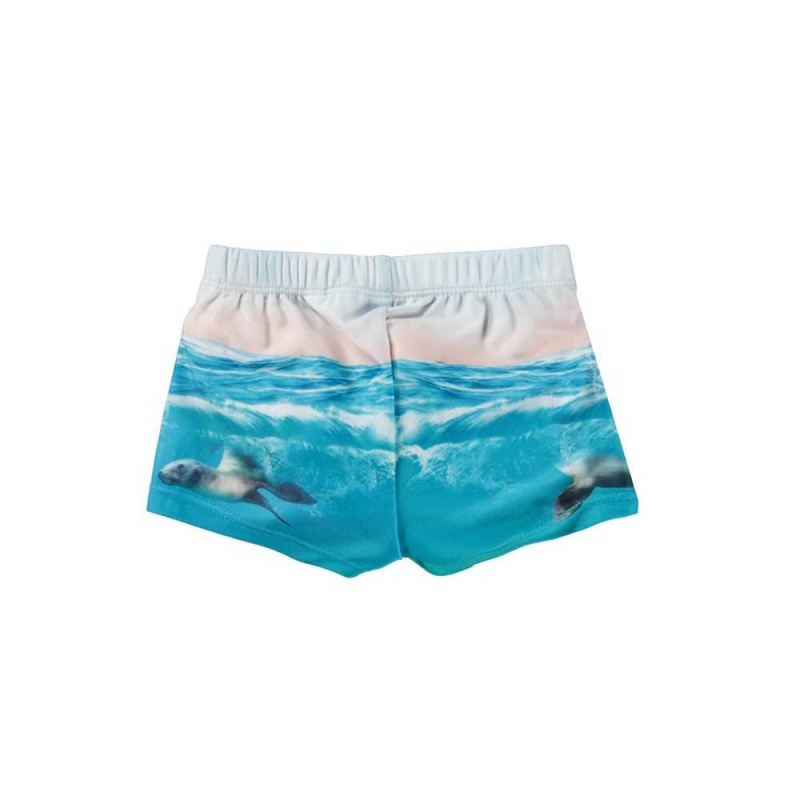 Swimshorts Molo Nansen Sealion | PL0001115