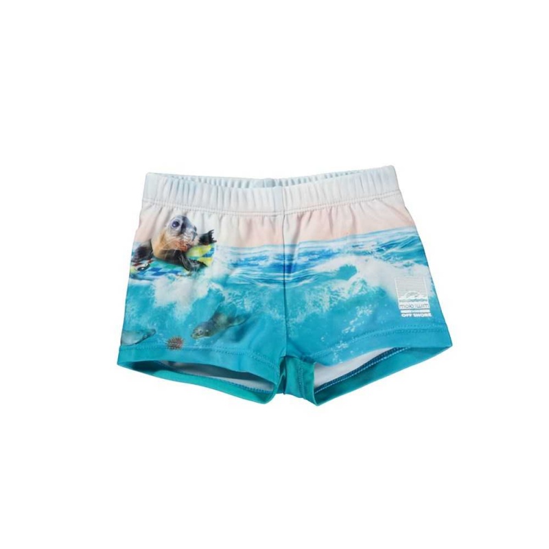 Swimshorts Molo Nansen Sealion | PL0001115