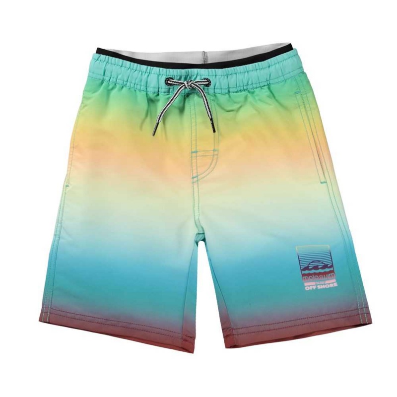 Swimshorts Molo Neal Faded Colours | PL0001113