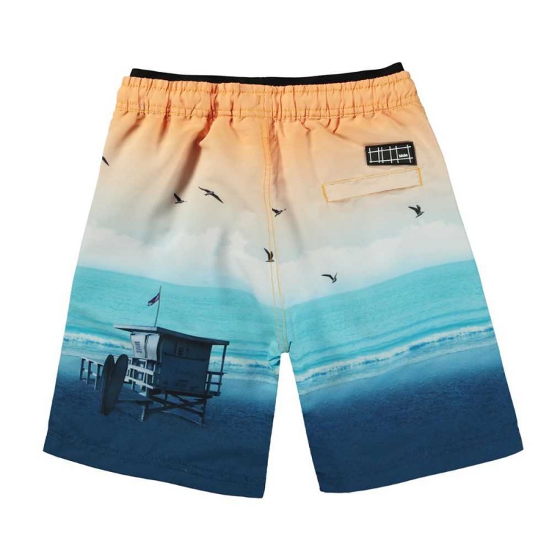 Swimshorts Molo Neal Sunset Beach | PL0001147