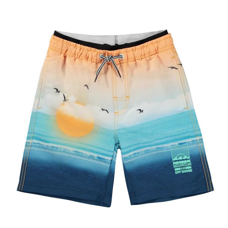 Swimshorts Molo Neal Sunset Beach | PL0001147