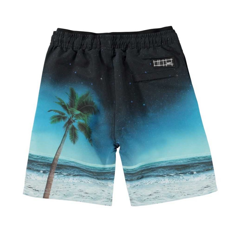 Swimshorts Molo Neal Sunset Surfer | PL0001124