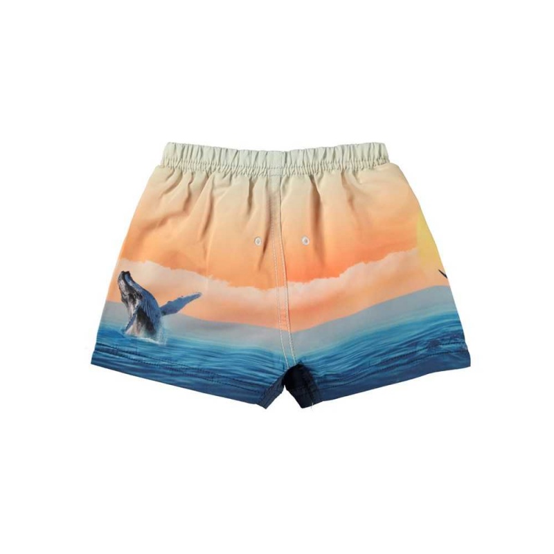 Swimshorts Molo Newton Ocean Smile | PL0001149