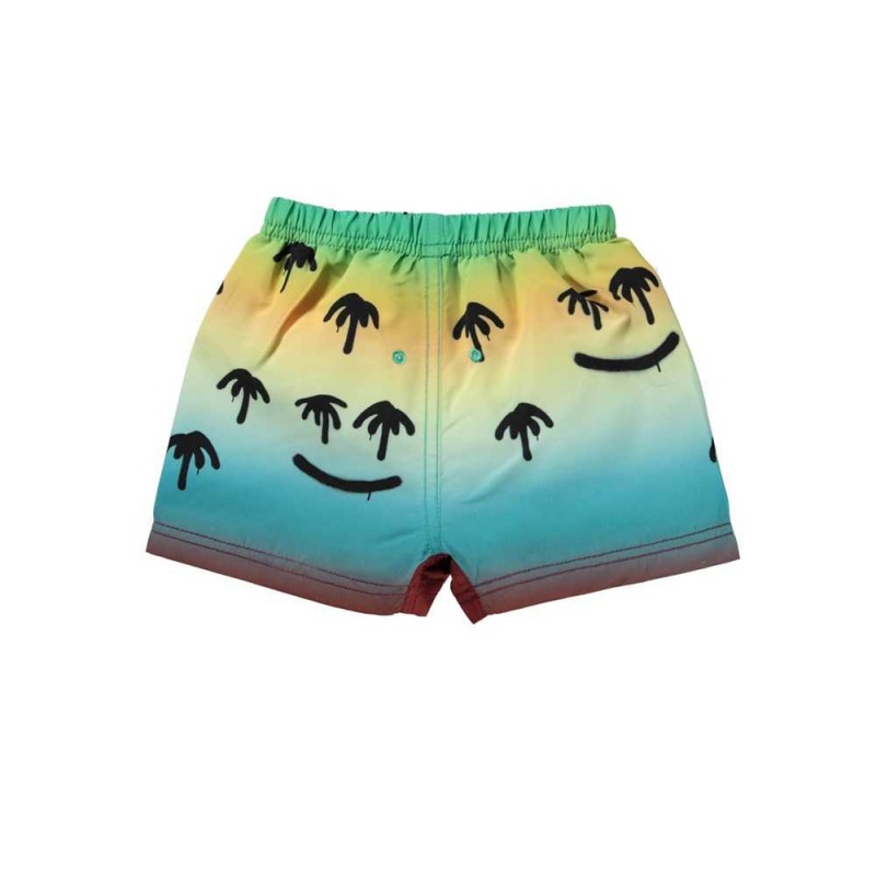 Swimshorts Molo Newton Palm Spray | PL0001118