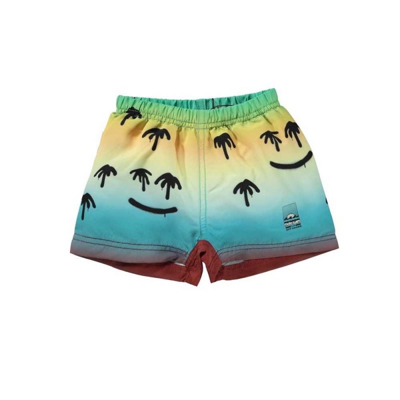 Swimshorts Molo Newton Palm Spray | PL0001118