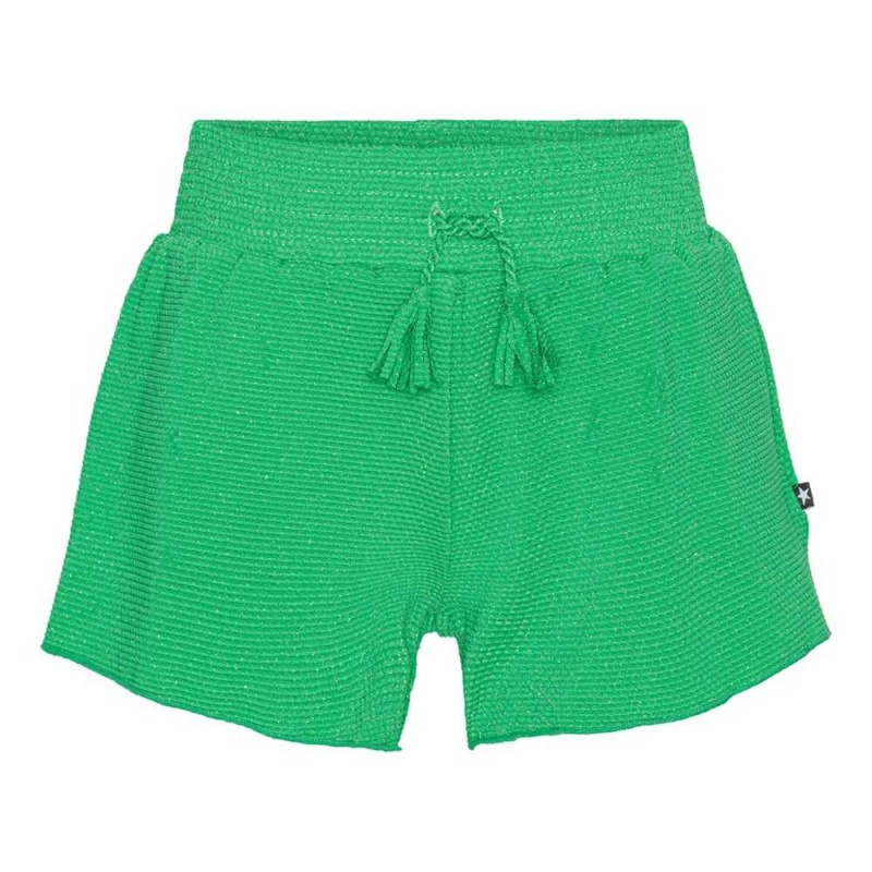 Swimshorts Molo Nicci Bright Green | PL0001108