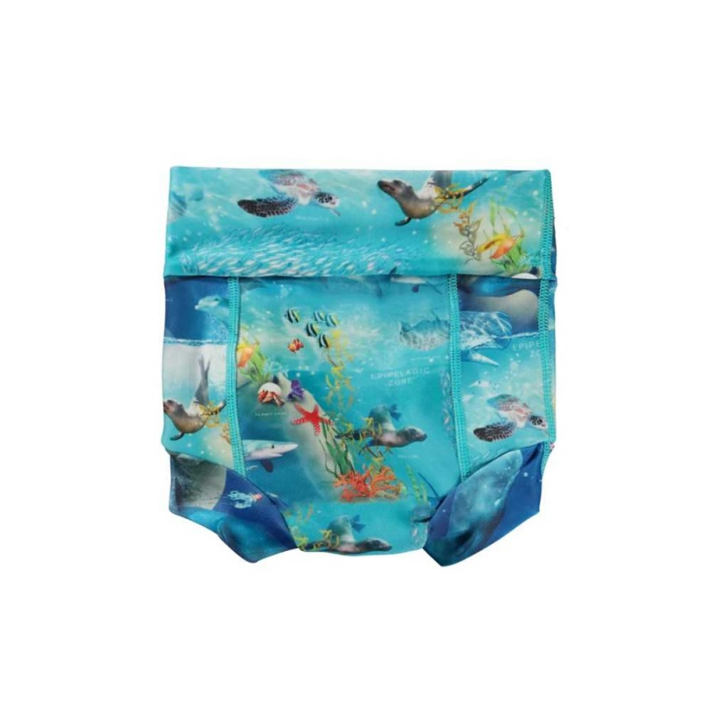 Swimshorts Molo Nick Ocean Zones | PL0001135