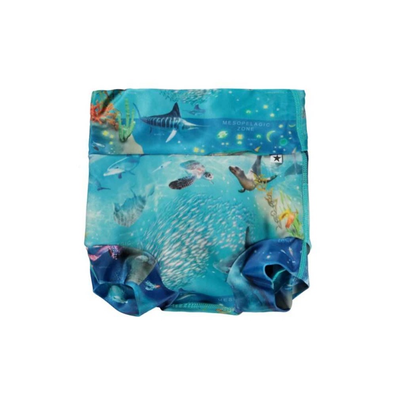 Swimshorts Molo Nick Ocean Zones | PL0001135