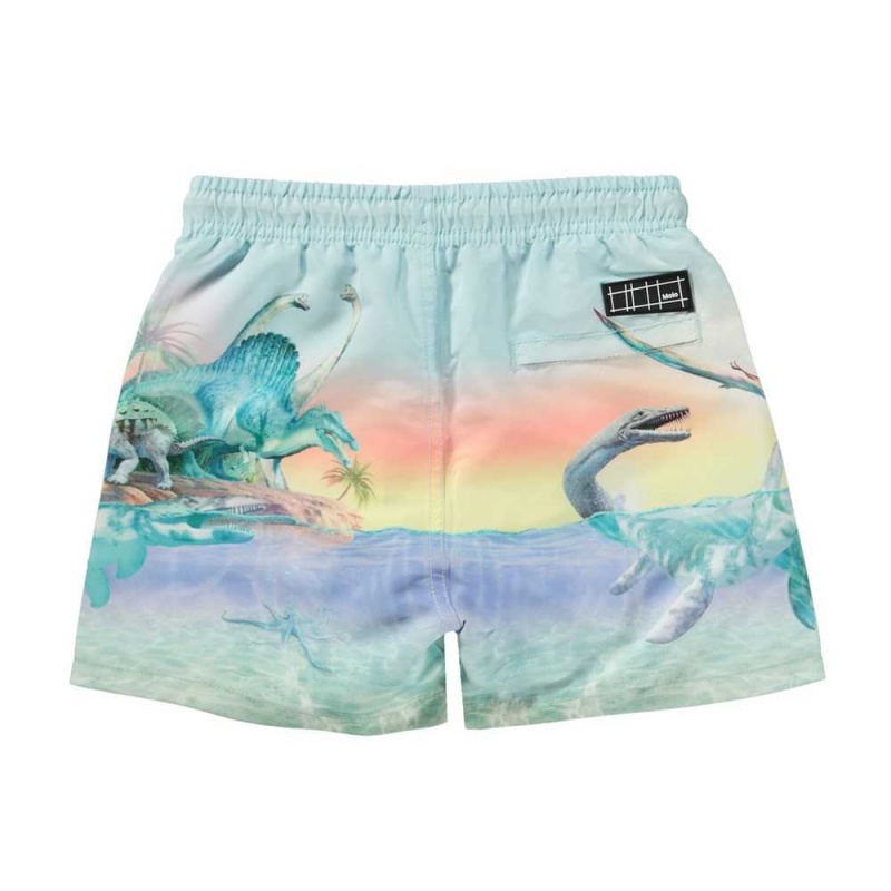 Swimshorts Molo Niko Ancient Island | PL0001134