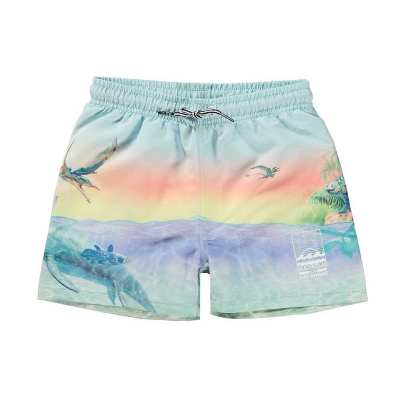 Swimshorts Molo Niko Ancient Island | PL0001134