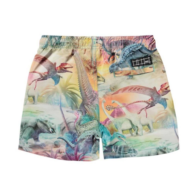 Swimshorts Molo Niko Dino Paradis | PL0001132