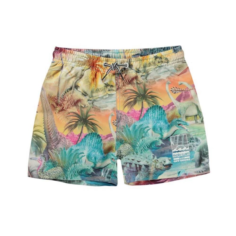 Swimshorts Molo Niko Dino Paradis | PL0001132