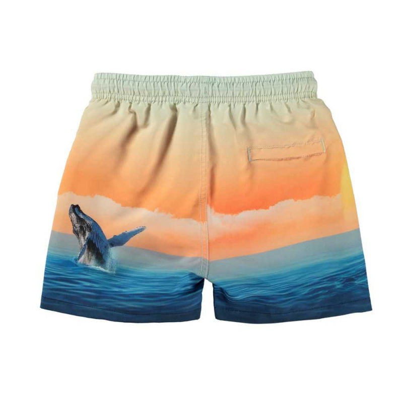 Swimshorts Molo Niko Ocean Smile | PL0001143